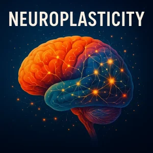 Neuroplasticity and brain rewiring illustration showing glowing neural connections for learning, memory, and recovery